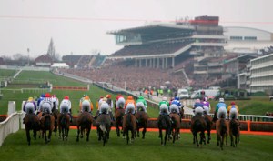 Cheltenhamrc