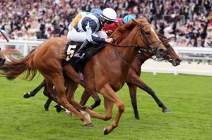 Duntle does the job for the Turf Talk faithful with Wayne Lordan in the plate.