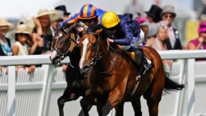 Hillstar lands the gamble, beating Battle of Marengo for the Turf Talk faithful.