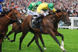 Roca Tumu gets up for the Turf Talk faithful at a big price!