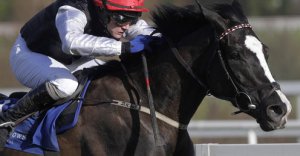 Unaccompanied is the bet of the day for me!