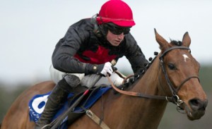 Le Vent D'Antan makes it a nice day at Punchestown for Turf Talk punters.