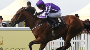 Leading Light grinds out a victory in the Ascot Gold Cup!