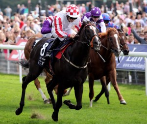 Sole Power, the auld dog for the hard road!!