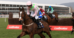 Electrifying Vautour!!